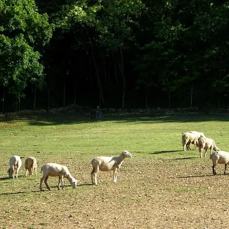 Hotel Fattoria Antica Forconia Pianola