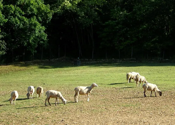 Отель Fattoria Antica Forconia Pianola